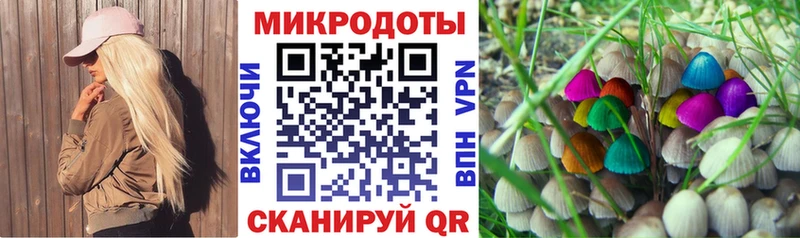 Купить Лабытнанги Галлюциногенные грибы Psilocybe